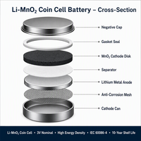 Batería de Botón de Litio Primaria BEVIGOR LiCoO2 CR2450 con Certificación CE, 3V 600mAh, para Juguetes y Electrodomésticos