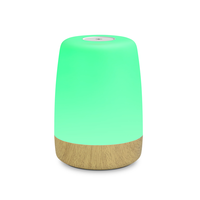 Veilleuse pour chambre d'enfant, 3 niveaux de luminosité, veilleuse LED, lampe de chevet pour bébé, chambre d'enfant, chambre à coucher, extérieur