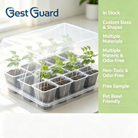 Envase tipo clamshell personalizado para plantas en blíster, para transporte y exhibición de plántulas, bandeja transparente de PET