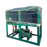 Unité de condensation de type V à haut rendement, compresseur de réfrigération industrielle avec condenseur refroidi par air pour moteur pour chambre froide