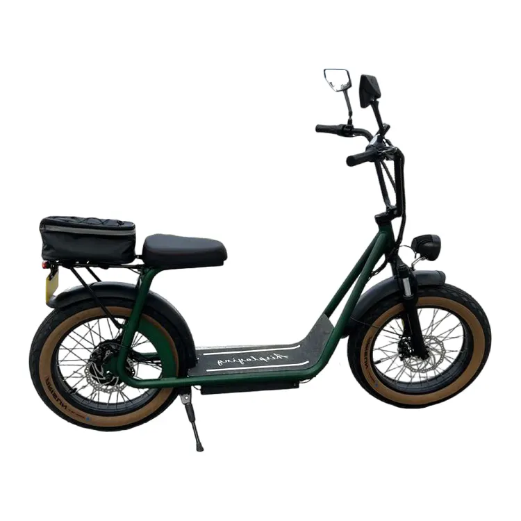 En çok satan motosiklet 1000w elektrikli yetişkin Motor elektrikli scooter için iki tekerlekli elektrikli motosiklet ile satılık çift koltuklu