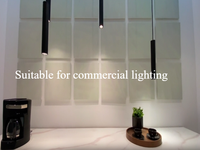 Fuente de Alimentación LED de 30W, Controlador LED Atenuable Triac de 12V 24V, Voltaje Constante, Certificación SAA/RCM, para Iluminación Comercial