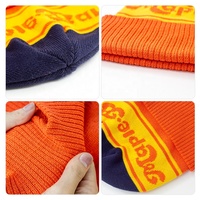 Bonnet d'hiver tricoté chaud et personnalisé en polyester Jacquard Skully Bonnet de créateur avec logo brodé sur mesure