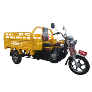 Triciclo de gasolina de 200cc, motocicletas de tres ruedas, triciclo Sidecar para el mercado de Irak, motocicleta, triciclo de carga en <span class=keywords><strong>Paraguay</strong></span> - Product Image 2