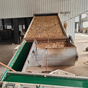 Séchoir industriel à foin continu haute capacité pour la transformation du foin d'alfalfa, équipement de séchage à bande transporteuse maillée pour foin d'alfalfa - Product Image 3