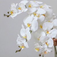 Bunga Phalaenopsis Buatan Berkualitas Tinggi, Batang Tunggal, 9 Kepala, Tekstur 3D, Sutra Imitasi, 70x15x10cm, Dekorasi Rumah untuk Pernikahan