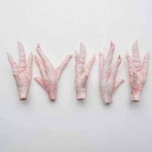Patas de Pollo Congeladas Directamente de Fábrica, Grado A, Proceso BQF, 24 Meses de Vida Útil, Alta Calidad, Empaque a Granel, Listas para Exportación - Product Image 5