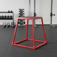 Plataforma de Entrenamiento Pliométrica Desmontable de Acero POWER TIGER con Altura Ajustable para Gimnasio