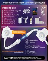 Lumières de gouttière extérieures permanentes IP67 étanches 24V RGBIC Pixel LED, guirlande lumineuse avec télécommande APP pour la décoration de la maison et des fêtes