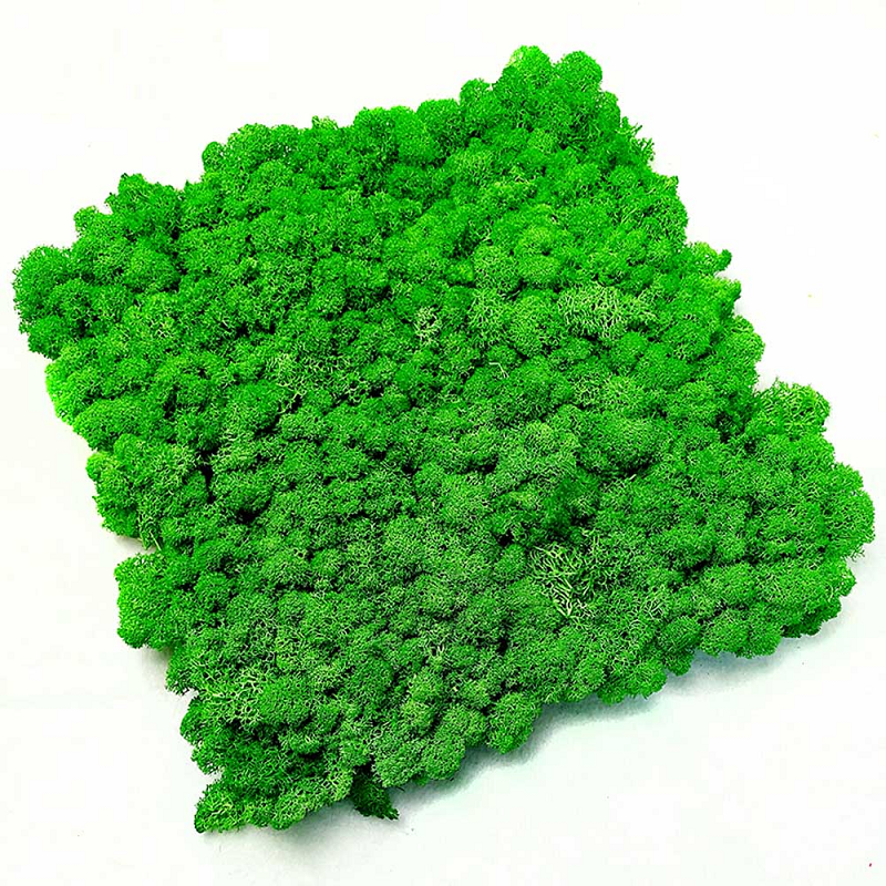Vert