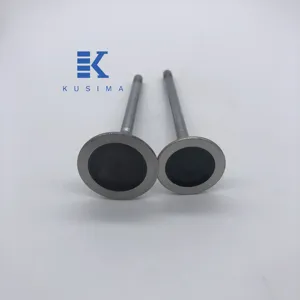 Racing cars forged Engine Valve N63B44 Intake Valves Exhaust Valve forged for BMW N63 750 Li 4.4L OE 11347570163 11347570164