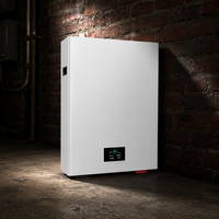 Système de stockage d'énergie hybride mural LiFePO4 à prix d'usine pour applications de secours solaires domestiques et commerciales