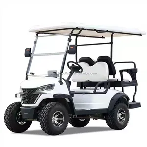 Electric Golf Carts Chinese Lithium 72V Battery Cheap Prices For Sale Seating 2 Passengers With Mini Folding 2 Seat Option