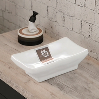 Assiettes de restaurant carrées en mélamine, assiettes écologiques pour la sauce soja, 12 pièces