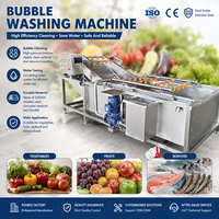 Nieuwe ontwerp multifunctionele luchtbelwasmachine continue fruit- en groentereinigingsapparatuur voor voedingsfabrieken