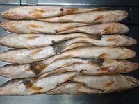 Offre Spéciale Frozen Jaune Croaker Jaune Corvina Bonne Qualité