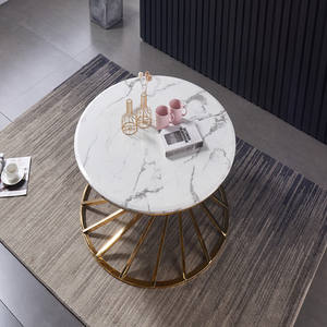 Elegante tavolino da caffè con piano in marmo nido d'uccello in acciaio inossidabile/design tavolo centrale - Product Image 1