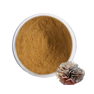 Оптовая продажа, высококачественный Чистый Натуральный Грибной Порошок Maitake, Грибной Порошок Grifola Frondosa - Product Image 1