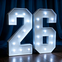 Número Gigante LED 26, Iluminación Decorativa Interior, Funciona con Batería, Luz Blanca de Día 6000K