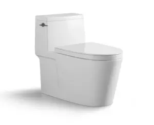 NOUVEAU Sans Rebord siphonique toilette cuvette en céramique pour L'asie Centrale Du Sud et Amérique Du Nord et du sud