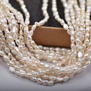 Collar de Perlas de Agua Dulce Naturales de Doble Cara, Blancas, Barrocas, de 3-4 mm, para Joyería Semiterminada, Venta al por Mayor - Product Image 4