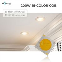Puce LED COB5050 bicolore 200W (100W+100W) 3200K 6500K 10C16B*2, source lumineuse commerciale OEM ODM à blanc réglable