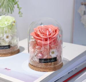 Cúpula de Cristal de Alta Gama con Rosas Preservadas, La Bella y la <span class=keywords><strong>Bestia</strong></span>, Flor Eterna Perfecto para el Dí<span class=keywords><strong>a</strong></span> de San Valentín, Dí<span class=keywords><strong>a</strong></span> de la Madre - Product Image 3