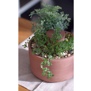 Pots de plantes en terre cuite rustiques faits à la main, vintage, sculptés à la main, durables, en matériau naturel pour les fleurs et les herbes de jardin intérieures et extérieures - Product Image 4