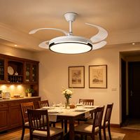 Ventilateur de plafond invisible avec lampe, pales de 48 pouces, moteur DC, LED, design minimaliste moderne, télécommande, faible bruit, 6 vitesses, pour salon