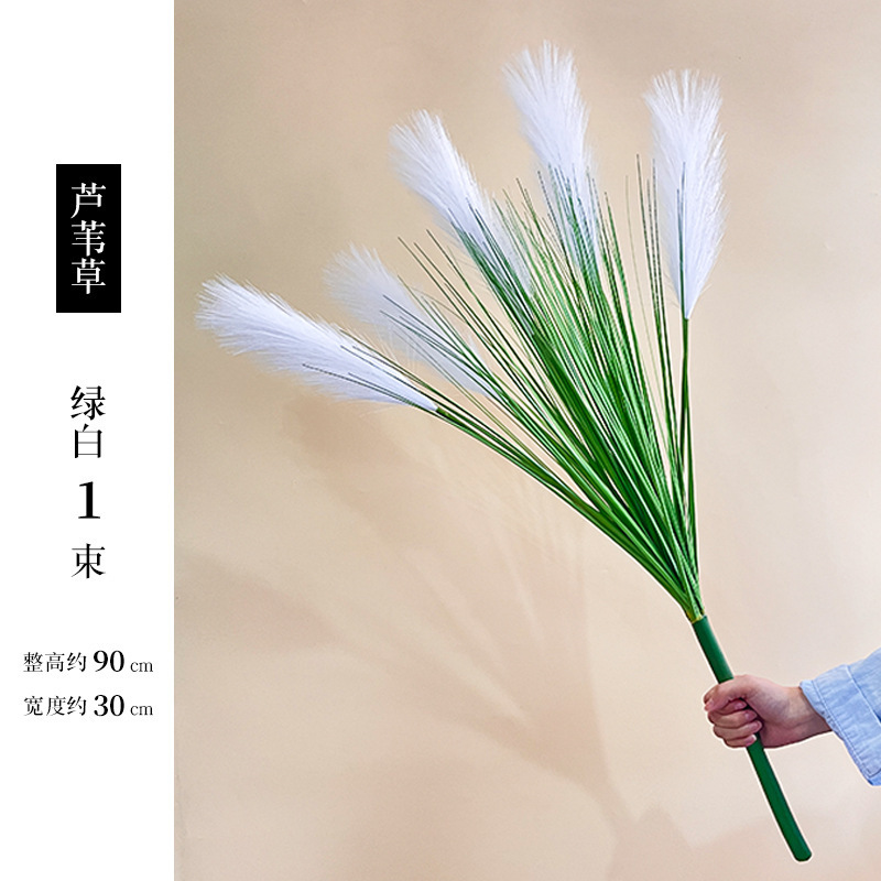 สีขาว - [สายยาง 5 หัว] ต้นกก 1 กำ