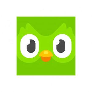 Cuenta Premium Duolingo Pro 1 Año, Activa Tu Propia Cuenta, Aplicable Globalmente en Todo el Mundo - Product Image 3