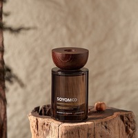 Ensemble diffuseur de parfum de luxe 180 ml en gros avec bâtonnets en rotin naturel, écologique, sans alcool, pour la maison, l'hôtel et la salle de séjour