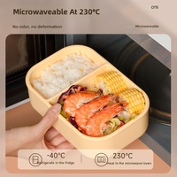 Boîte de rangement pour le déjeuner en silicone, qualité alimentaire, légère, utilisable au micro-ondes, boîte à lunch pour les employés de bureau, esthétique haut de gamme