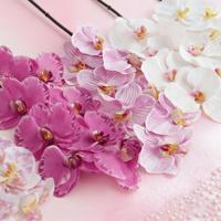 Desain Baru Bunga Anggrek Phalaenopsis Buatan Lateks Berkualitas Tinggi Mewah Sentuhan Nyata Anggrek Kupu-Kupu Wisuda Tahun Baru