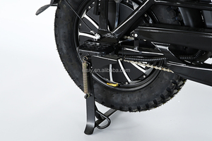 Venta al por mayor de bicicleta <span class=keywords><strong>eléctrica</strong></span> de 16 pulgadas con 2 asientos Velo Electric Cycle E-Bike 500W a mitad de venta <span class=keywords><strong>Fatbike</strong></span> - Product Image 2