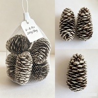 UMIND Cônes de pin naturels à pointes blanches givrées, 6-8 pièces, 200g, sac en filet, décorations de Noël rustiques, écologiques