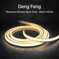 Bande lumineuse LED néon flexible en cuivre à éclairage frontal 1010, AC 24V, IP68, télécommande, couleur unique, pour usage intérieur et extérieur