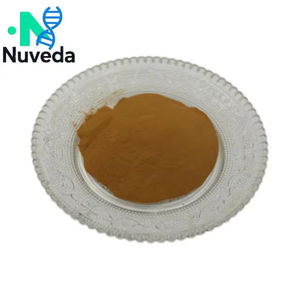 ผงสมุนไพรธรรมชาติสกัดจากราก10:1ชิกโครี - Product Image 3