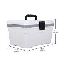Vente chaude Petit Refroidisseur Portable 12L Dur Camping Glace Poitrine Glacière Refroidisseurs Extérieurs pour Camping Pique-Nique Court-voyage
