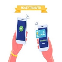 ROYALCRAFT Application mobile de transfert d'argent numérique instantané Modèle M20 MAC//Linux/Android Paiements sécurisés en ligne sur Internet 1 an