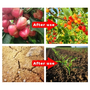 Concentrated <strong>Seaweed</strong> Extract Water-Soluble <strong>Fertilizer</strong> Organic <strong>Fertilizer</strong> <strong>Fertilizer</strong> Water-soluble <strong>Fertilizer</strong> - Product Image 3
