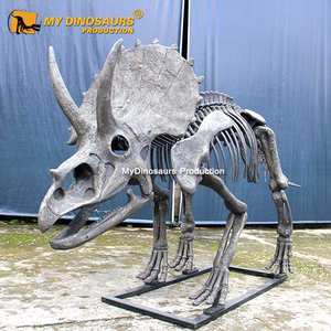 <span class=keywords><strong>Esqueleto</strong></span> de <span class=keywords><strong>Triceratops</strong></span> pequeño de fibra de vidrio para exhibición de museo My Dino DS026 - Product Image 5
