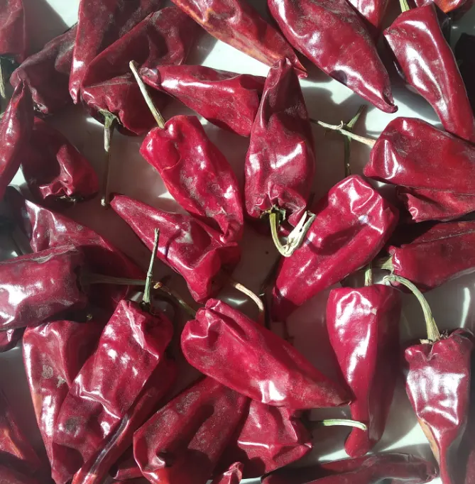 Poudre de piment chinois 30g, chillly râpée, paprika, pods