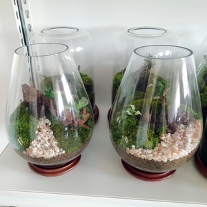 Contenitore per terrario <span class=keywords><strong>in</strong></span> <span class=keywords><strong>vetro</strong></span> vasi cilindrici terrario per <span class=keywords><strong>piante</strong></span> <span class=keywords><strong>in</strong></span> barattolo <span class=keywords><strong>di</strong></span> <span class=keywords><strong>vetro</strong></span> - Product Image 2