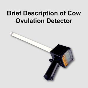 Détecteur d'<span class=keywords><strong>ovulation</strong></span> portable automatique vétérinaire Détecteur d'oestrus de bovins de vache <span class=keywords><strong>Ovulation</strong></span> - Product Image 3