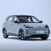 Wu Ling Hong Guang Wuling Bingo PLUS 2024 voitures électriques chine bon prix