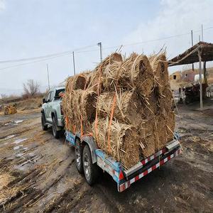 Remolques Premium para Motocicletas, Remolques Multifuncionales para ATV, Remolques para Transporte de Carga y Automóviles - Product Image 6