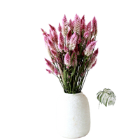 Bouquet de fleurs séchées naturelles Phoenix, feuilles, style Instagram, pour la fête des mères, Pâques, accessoires de photographie pour fenêtre, décoration intérieure