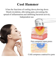 Appareil de mésothérapie à 9 aiguilles, injecteur sans aiguille, Dermashine Pro, injecteur Meso, machines de soin du visage Dermashine