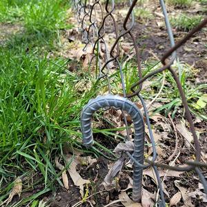 Ancres à picots en acier au carbone zingué, type crochet, <span class=keywords><strong>pour</strong></span> fixation sur bois et béton - Product Image 3